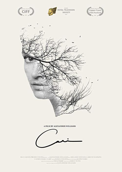 Cari 2018 official movie poster