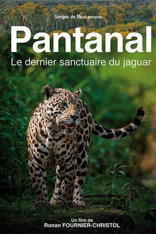 Pantanal, le dernier sanctuaire du jaguar 2010 official movie poster