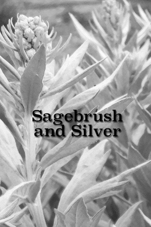 Sagebrush and Silver 1941 official movie poster