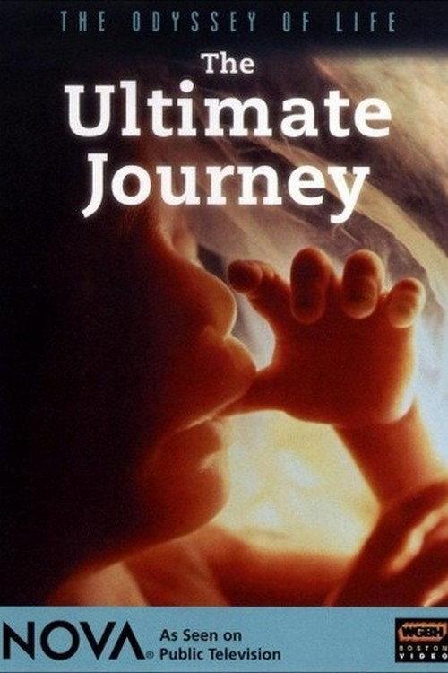 Odyssey of Life 1996 official movie poster