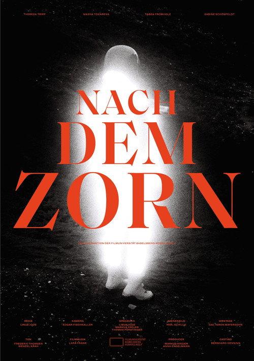 Nach dem Zorn official movie poster
