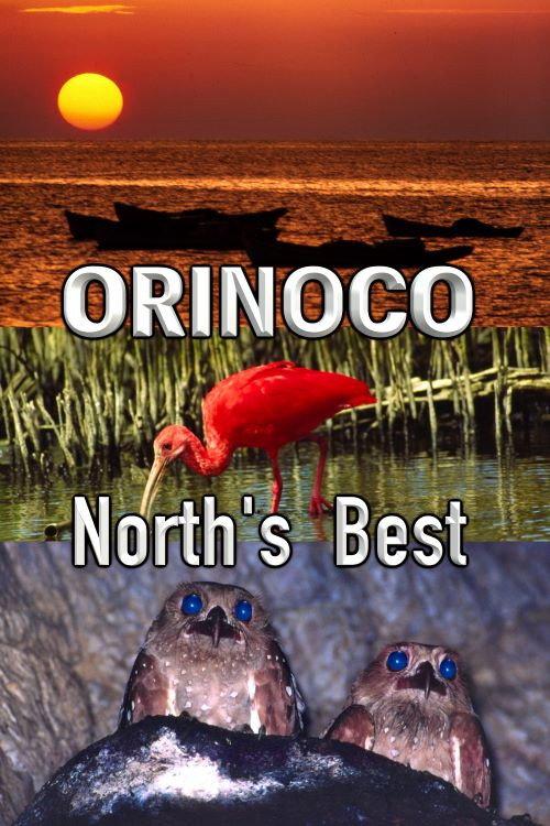 Orinoco, North’s Best 2005 official movie poster