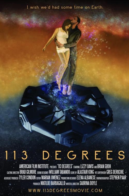 113 Degrees 2013 official movie poster