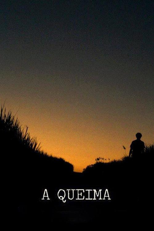 A Queima 2013 official movie poster