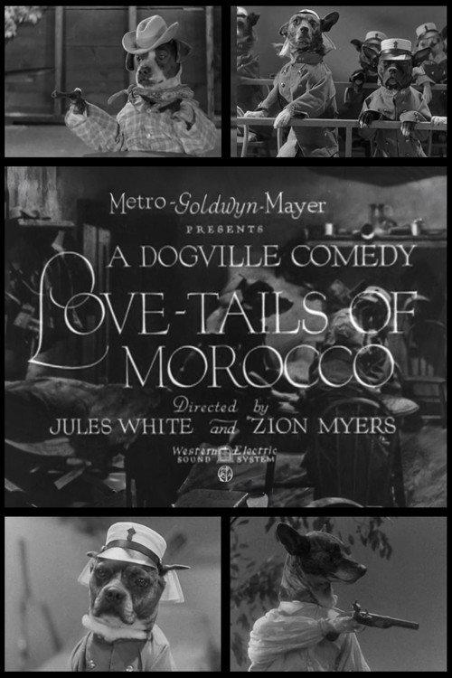Love-Tails of Morocco 1931 official movie poster