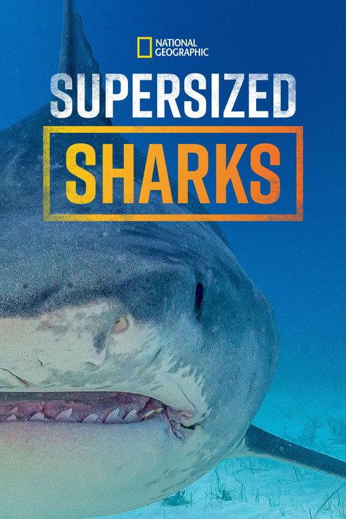 Supersized Sharks 2024 official movie poster