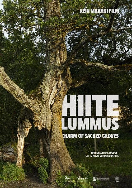 Charm of Sacred Groves 2013 official movie poster