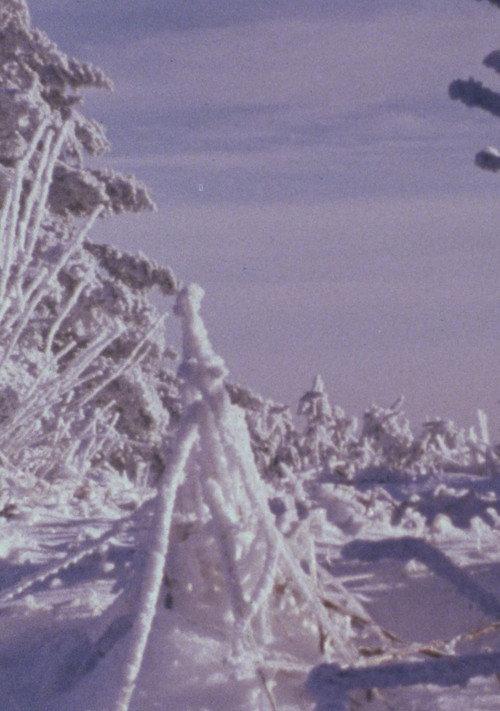 Roan Mountain Eulogy 1979 official movie poster
