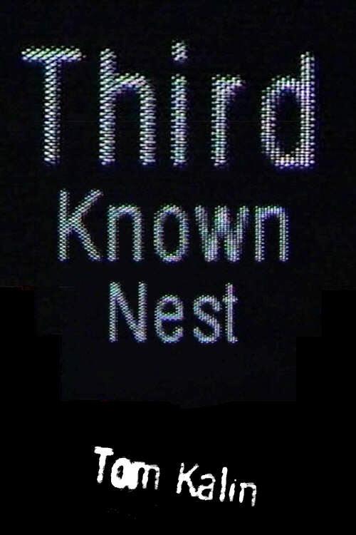 Third Known Nest 1999 official movie poster