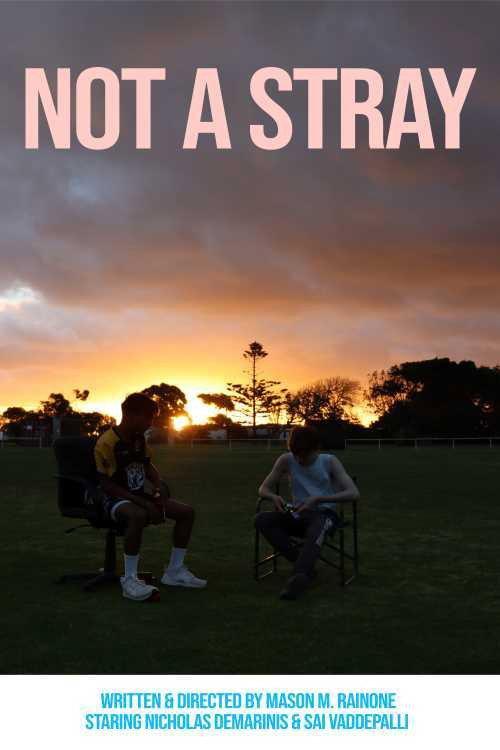 Not a Stray 2021 official movie poster