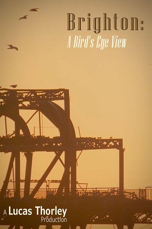 Brighton: A Bird's Eye View 2023 official movie poster