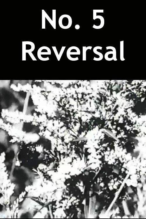 No. 5 Reversal 1989 official movie poster