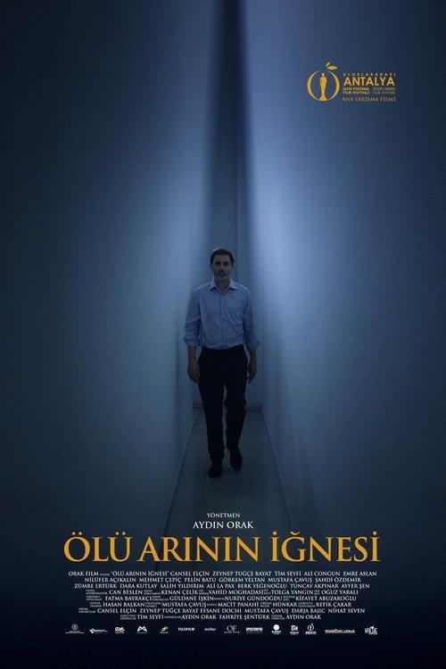 Dead Bee Sting 2026 official movie poster