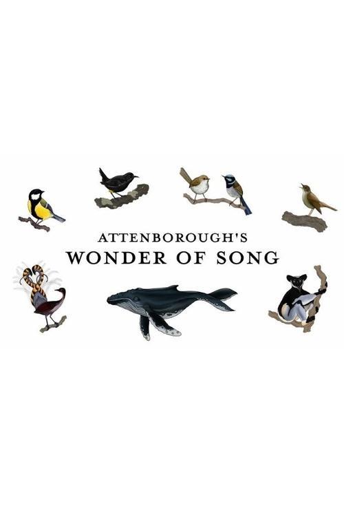 Attenborough's Wonder of Song 2022 official movie poster