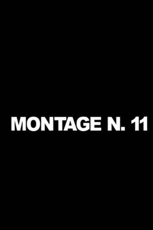 Montage n. 11 2003 official movie poster
