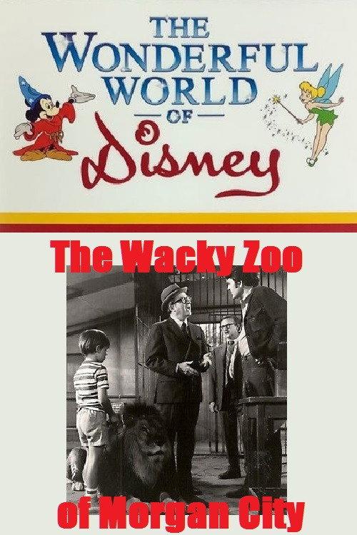 The Wacky Zoo of Morgan City 1970 official movie poster