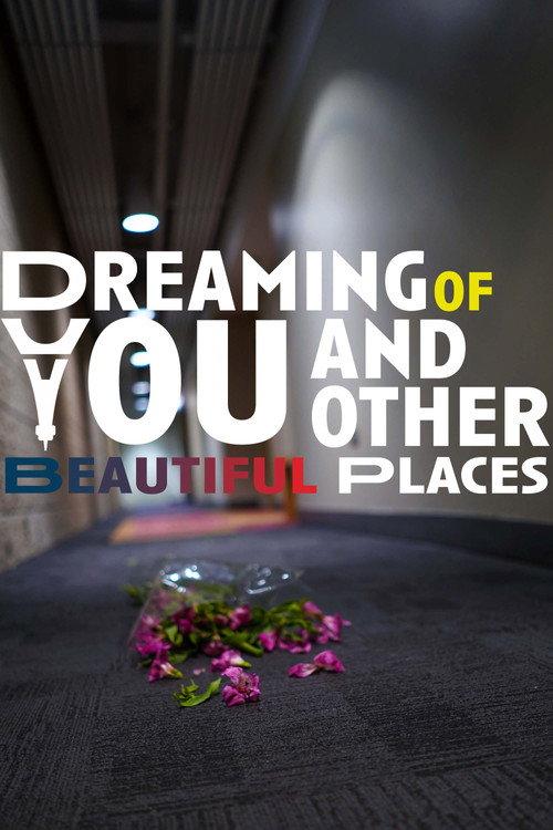 Dreaming of You and Other Beautiful Places  official movie poster