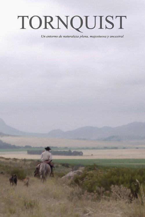 Tornquist 2021 official movie poster