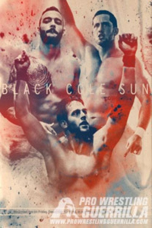 PWG: Black Cole Sun 2014 official movie poster