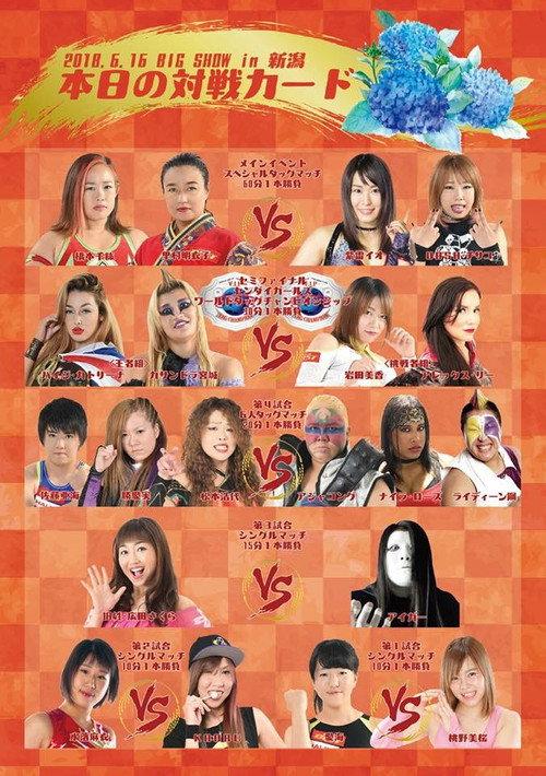 Sendai Girls Joshi Puroresu Big Show 2018 In Niigata 2018 official movie poster
