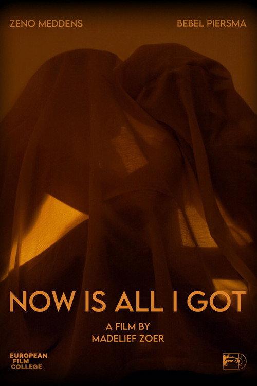Now Is All I Got 2025 official movie poster