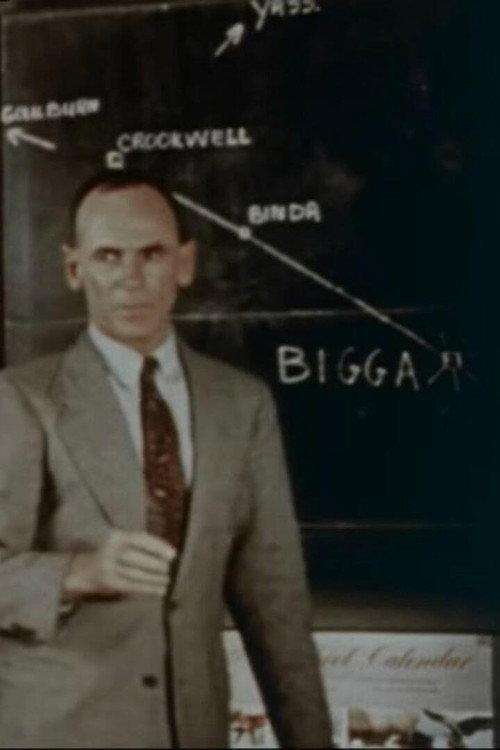 Switch on Bigga 1953 official movie poster