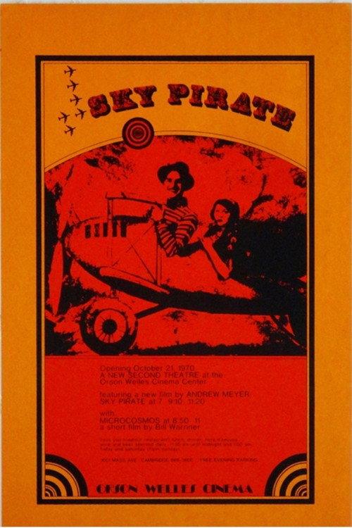 The Sky Pirate 1969 official movie poster
