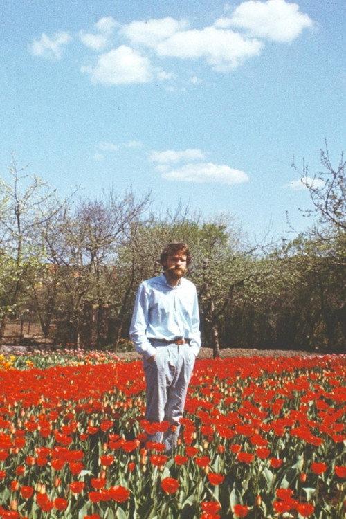 Tulip Field 2019 official movie poster