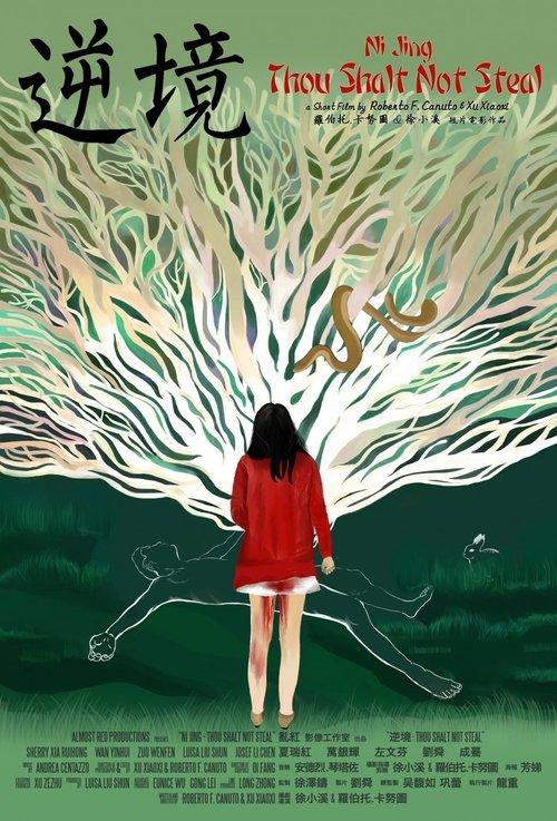 Ni Jing: Thou Shalt Not Steal 2013 official movie poster