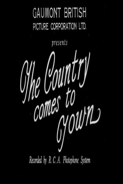 The Country Comes to Town 1933 official movie poster