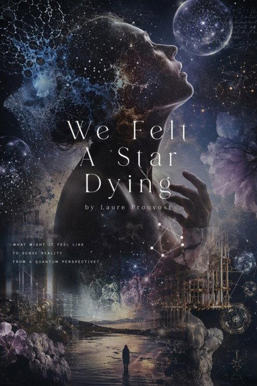 We Felt A Star Dying official movie poster
