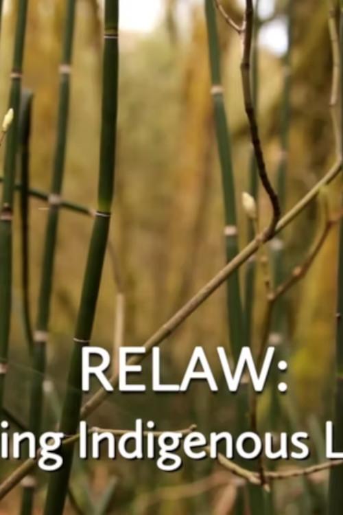 RELAW: Living Indigenous Laws 2017 official movie poster