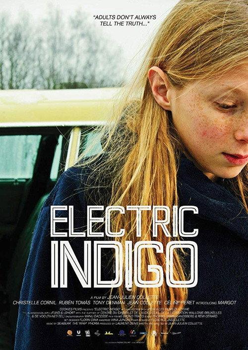 Electric Indigo 2013 official movie poster