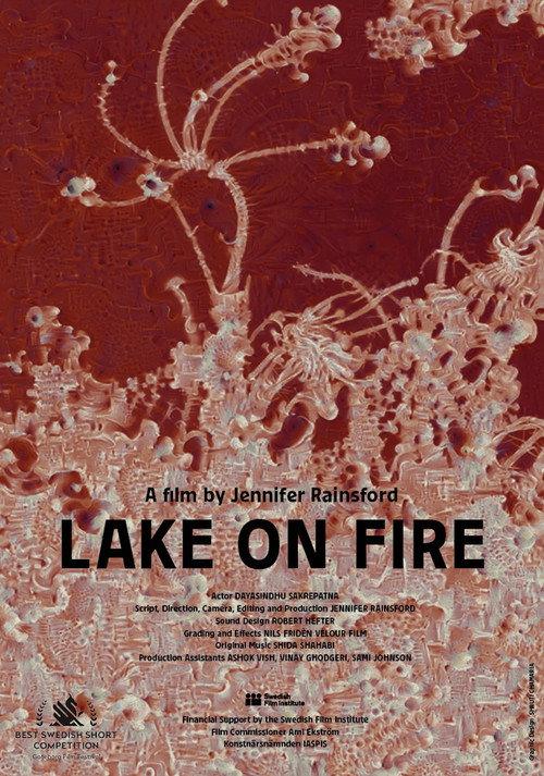 Lake on Fire 2020 official movie poster