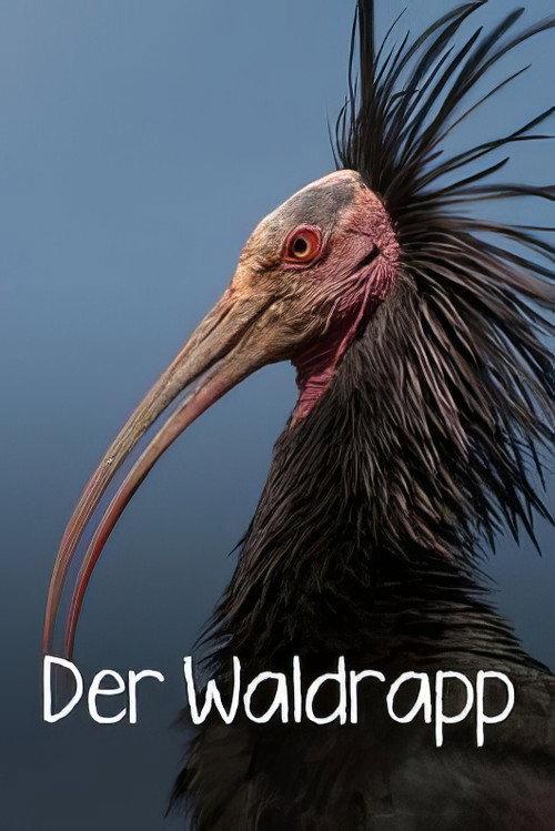 Der Waldrapp: Zugvogel im Aufwind 2023 official movie poster