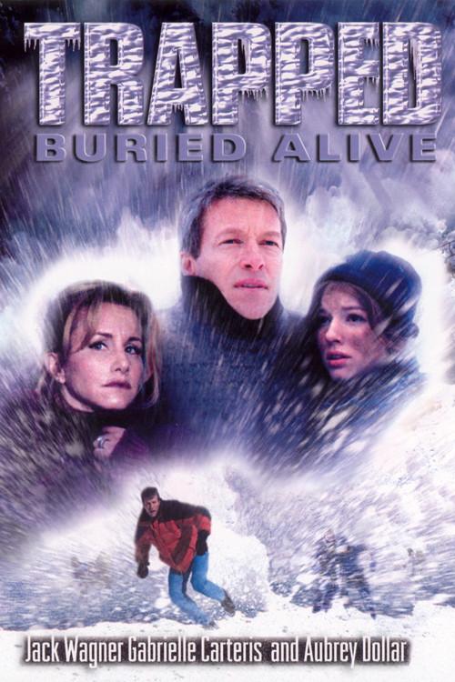 Trapped: Buried Alive 2002 official movie poster