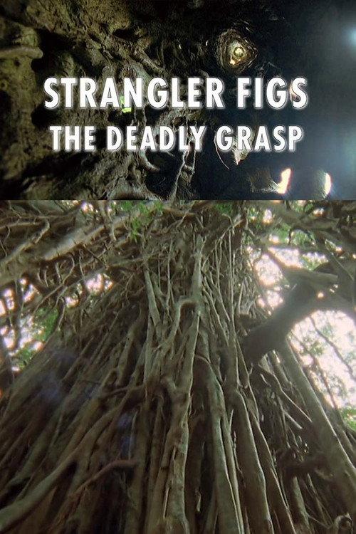 Strangler Figs: The Deadly Grasp 2000 official movie poster