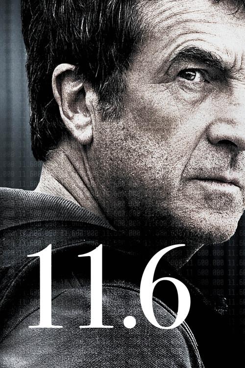 11.6 2013 official movie poster