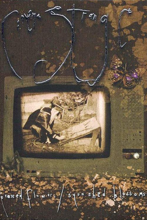 Cinema Strange: Pressed Flowers / Squashed Blossoms 2005 official movie poster