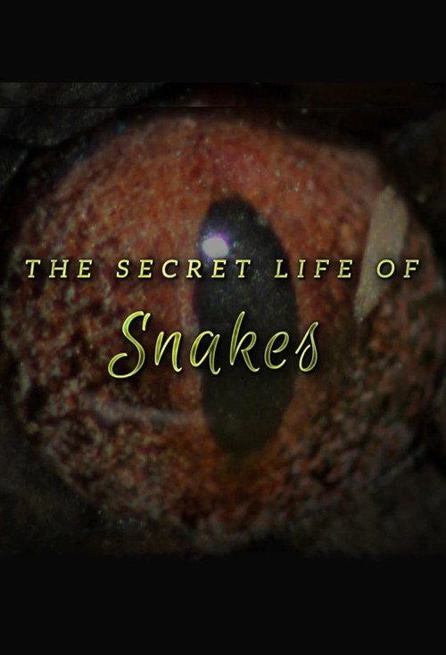 The Secret Life of Snakes 2016 official movie poster
