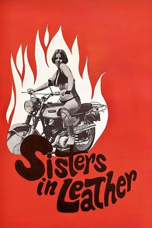 Sisters in Leather 1969 official movie poster