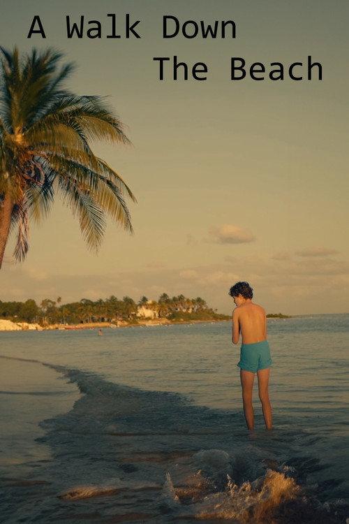 A Walk Down The Beach official movie poster