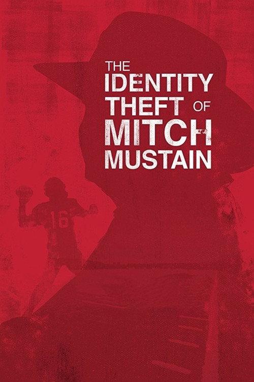 The Identity Theft of Mitch Mustain 2013 official movie poster