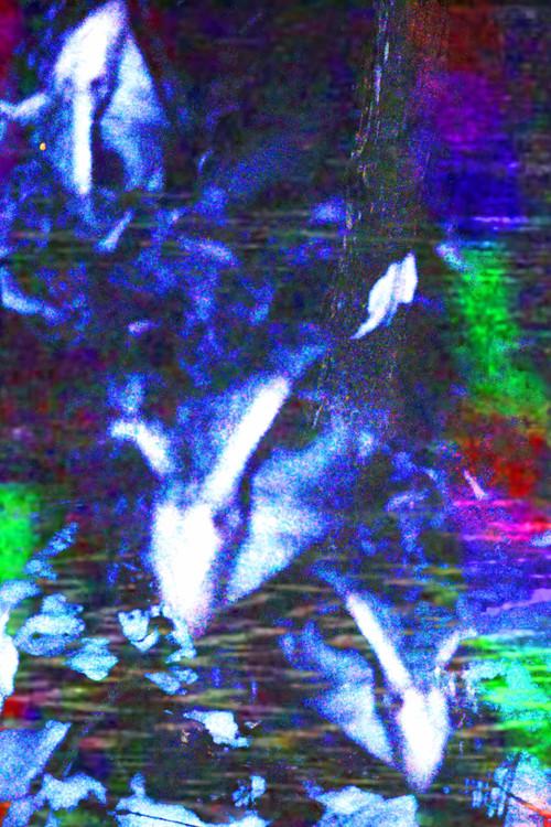 crow.mp4 2026 official movie poster