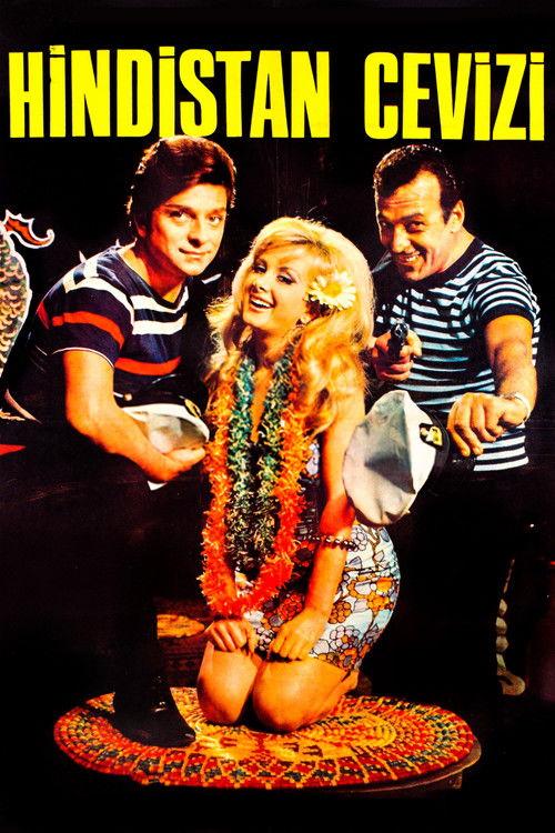 Hindistan Cevizi 1967 official movie poster