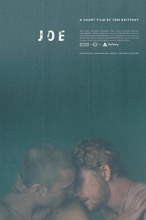 Joe 2025 official movie poster