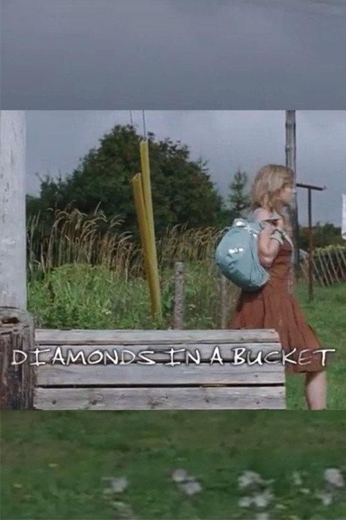 Diamonds in a Bucket 2007 official movie poster