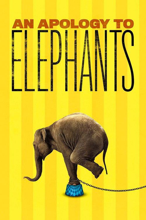 An Apology to Elephants 2013 official movie poster