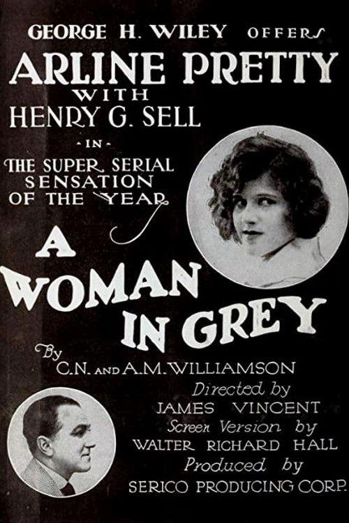 A Woman in Grey 1920 official movie poster