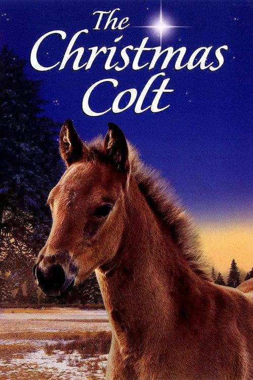 The Christmas Colt 2013 official movie poster
